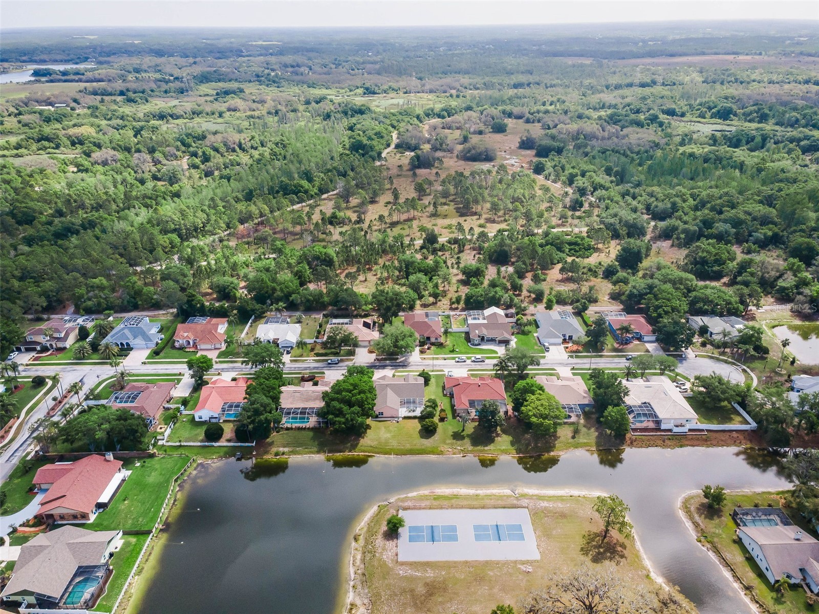 548 Manisha Place Tarpon Springs FL 34688 TB8494809 image67