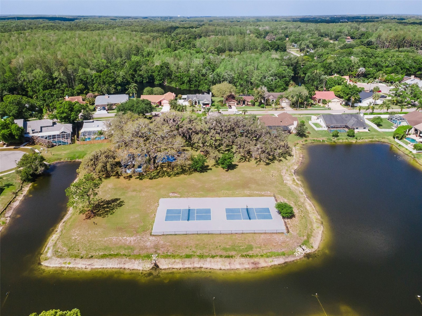548 Manisha Place Tarpon Springs FL 34688 TB8494809 image68
