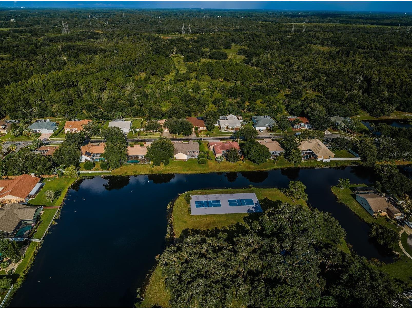 548 Manisha Place Tarpon Springs FL 34688 TB8494809 image69