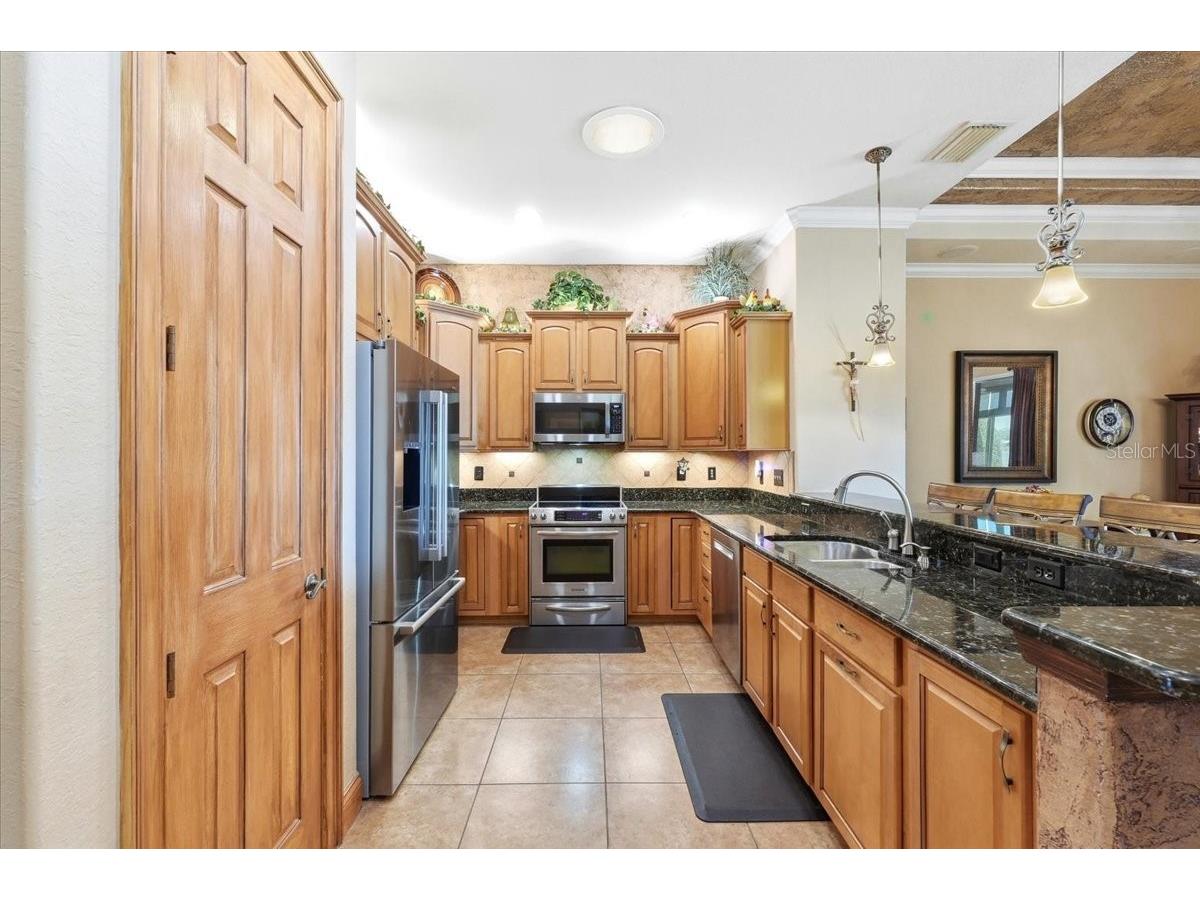 548 Meandering Way Polk City FL 33868 L4959657 image17