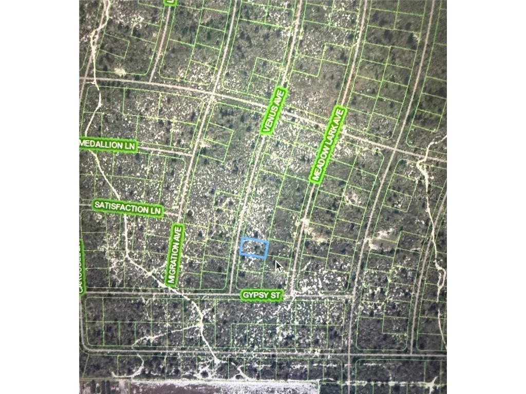 548 Venus Avenue Lake Placid FL 33852 A4671670 image3