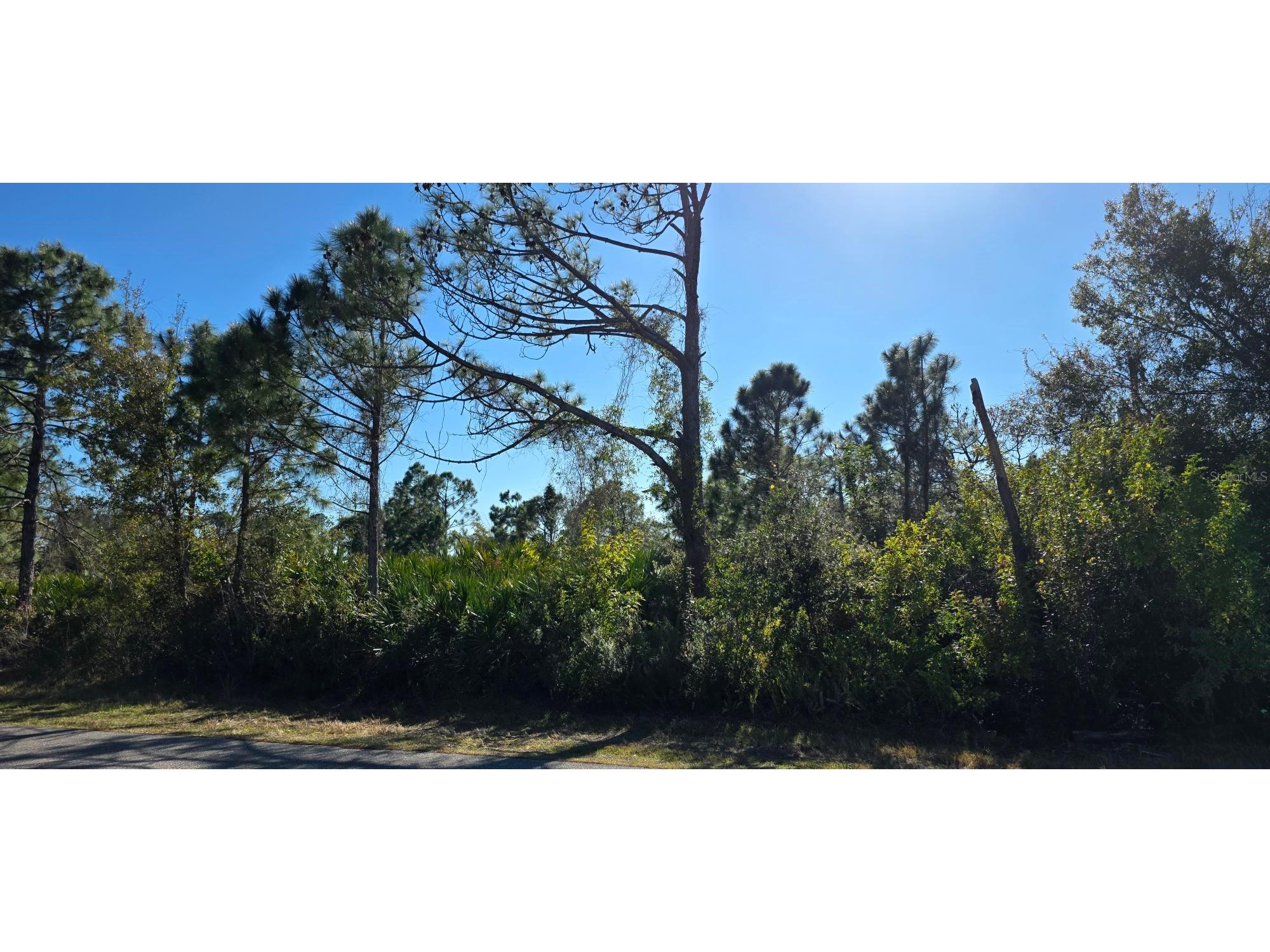 5481 White Avenue Port Charlotte FL 33981 C7521646 image1
