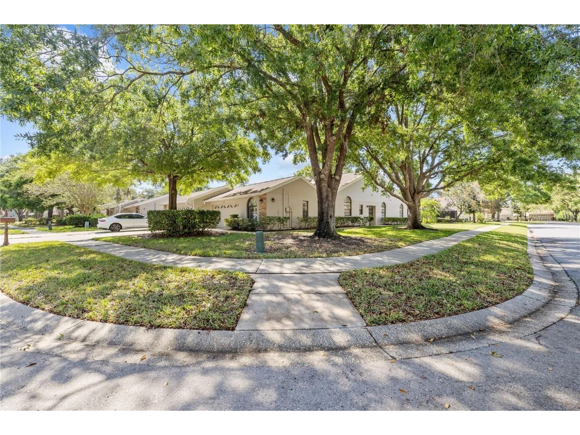 5482 Salem Square Drive N Palm Harbor FL 34685 TB8369888 image1