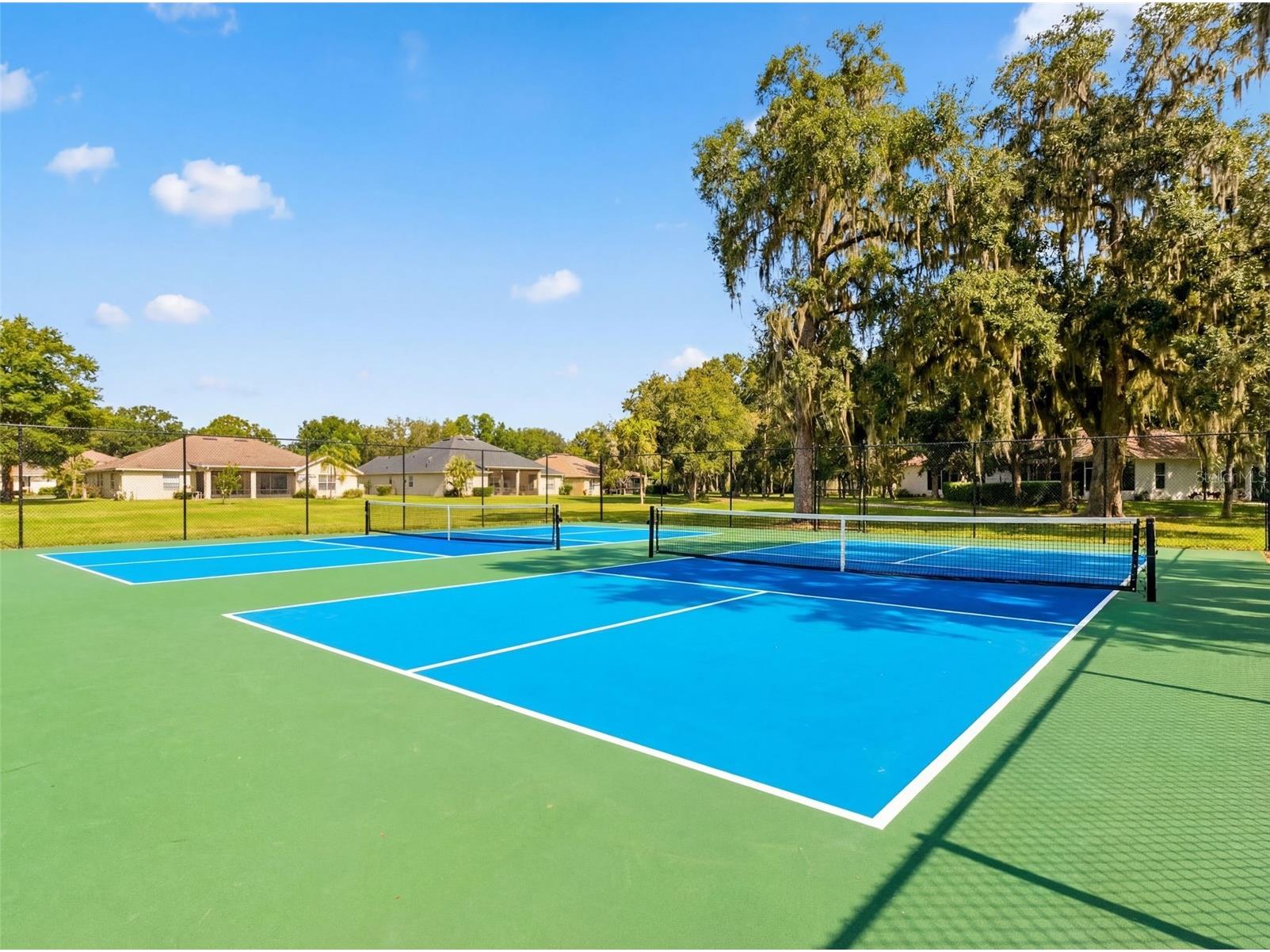 5484 Diantha Way Brooksville FL 34604 W7883101 image53