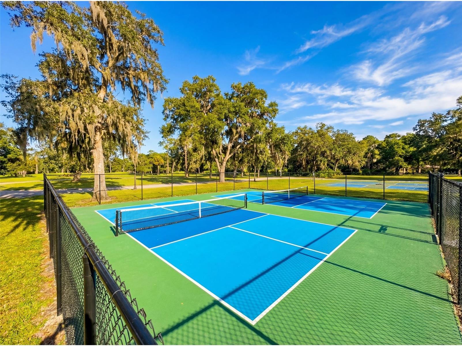 5484 Diantha Way Brooksville FL 34604 W7883101 image54