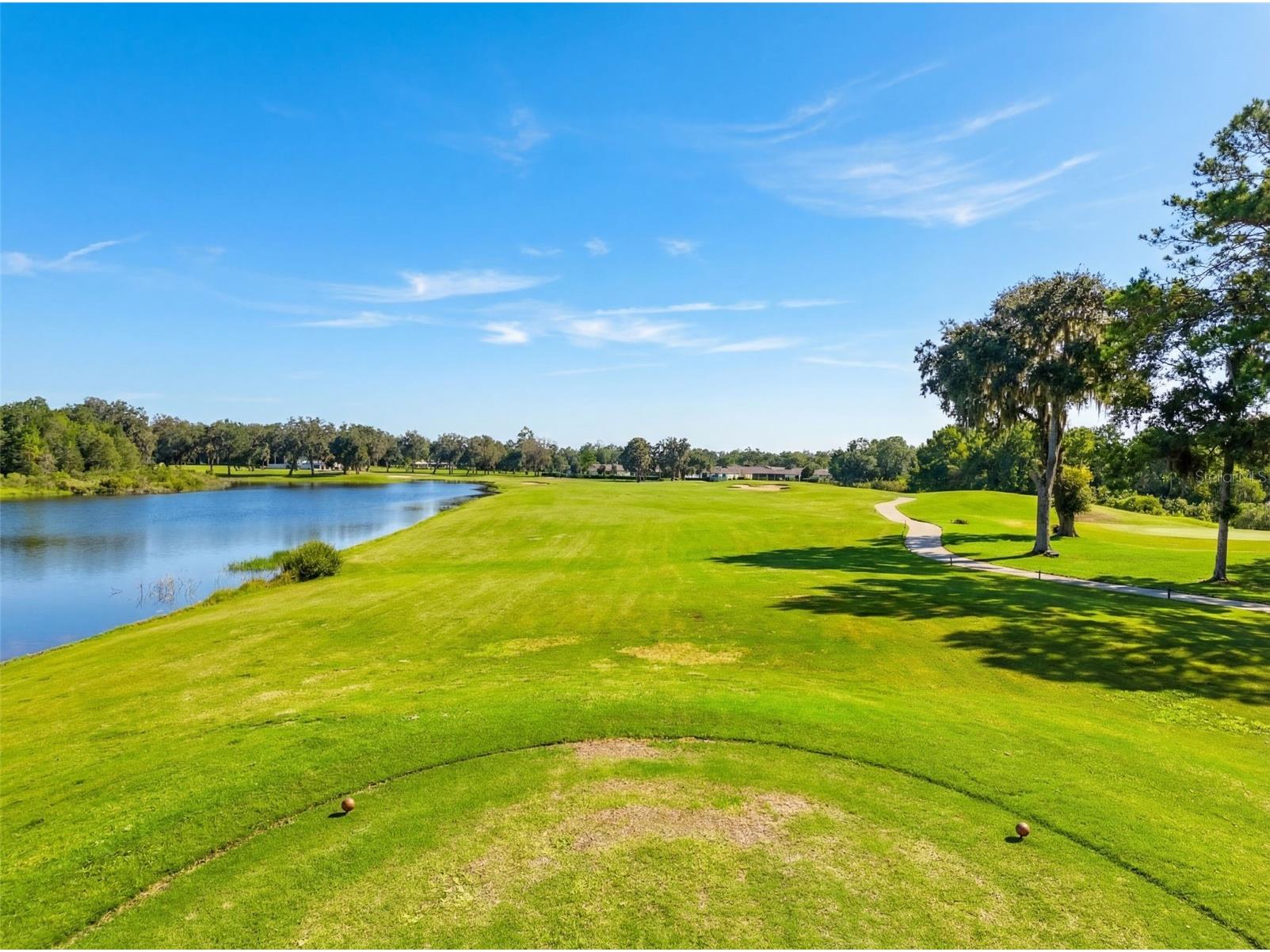 5484 Diantha Way Brooksville FL 34604 W7883101 image56