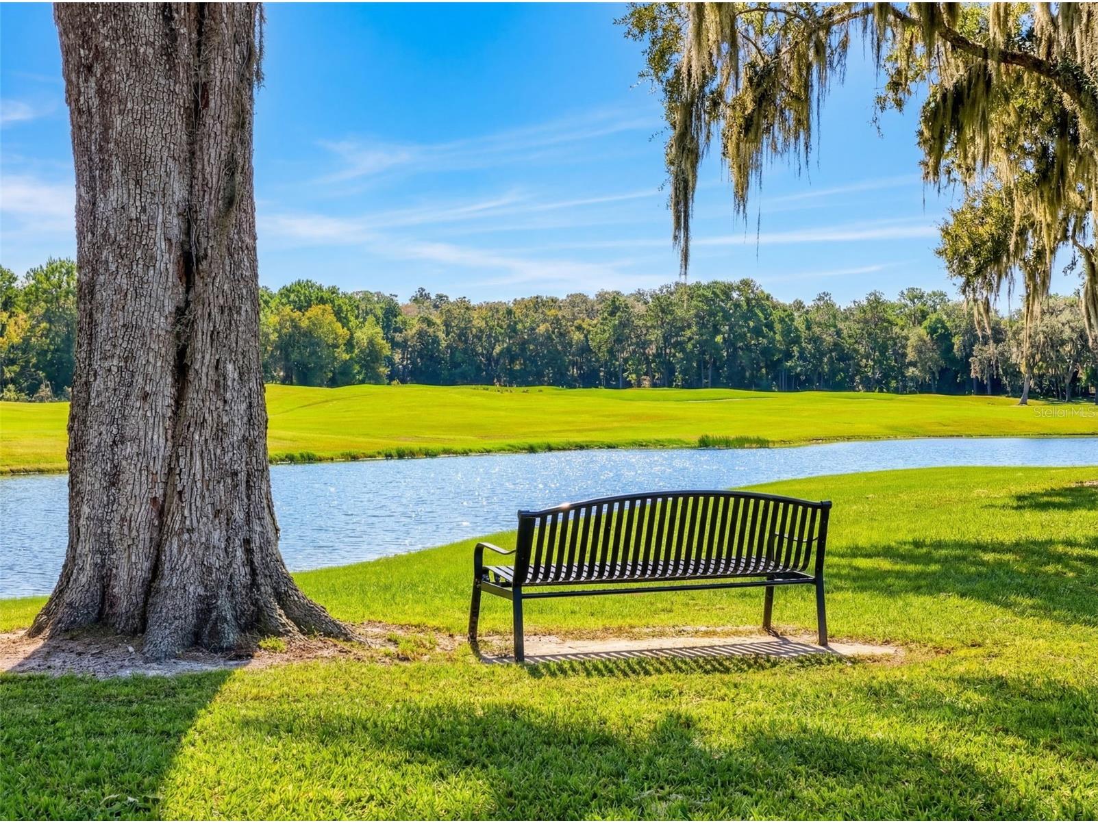 5484 Diantha Way Brooksville FL 34604 W7883101 image57