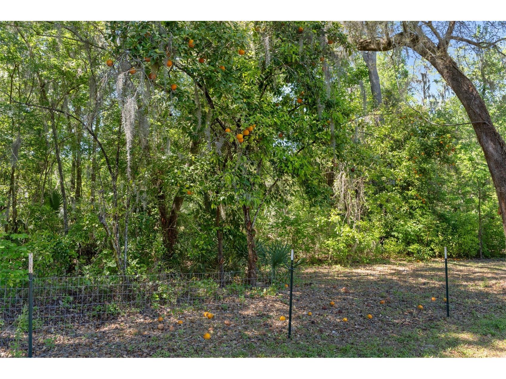 5487 Cedar Lane Brooksville FL 34601 W7883950 image51