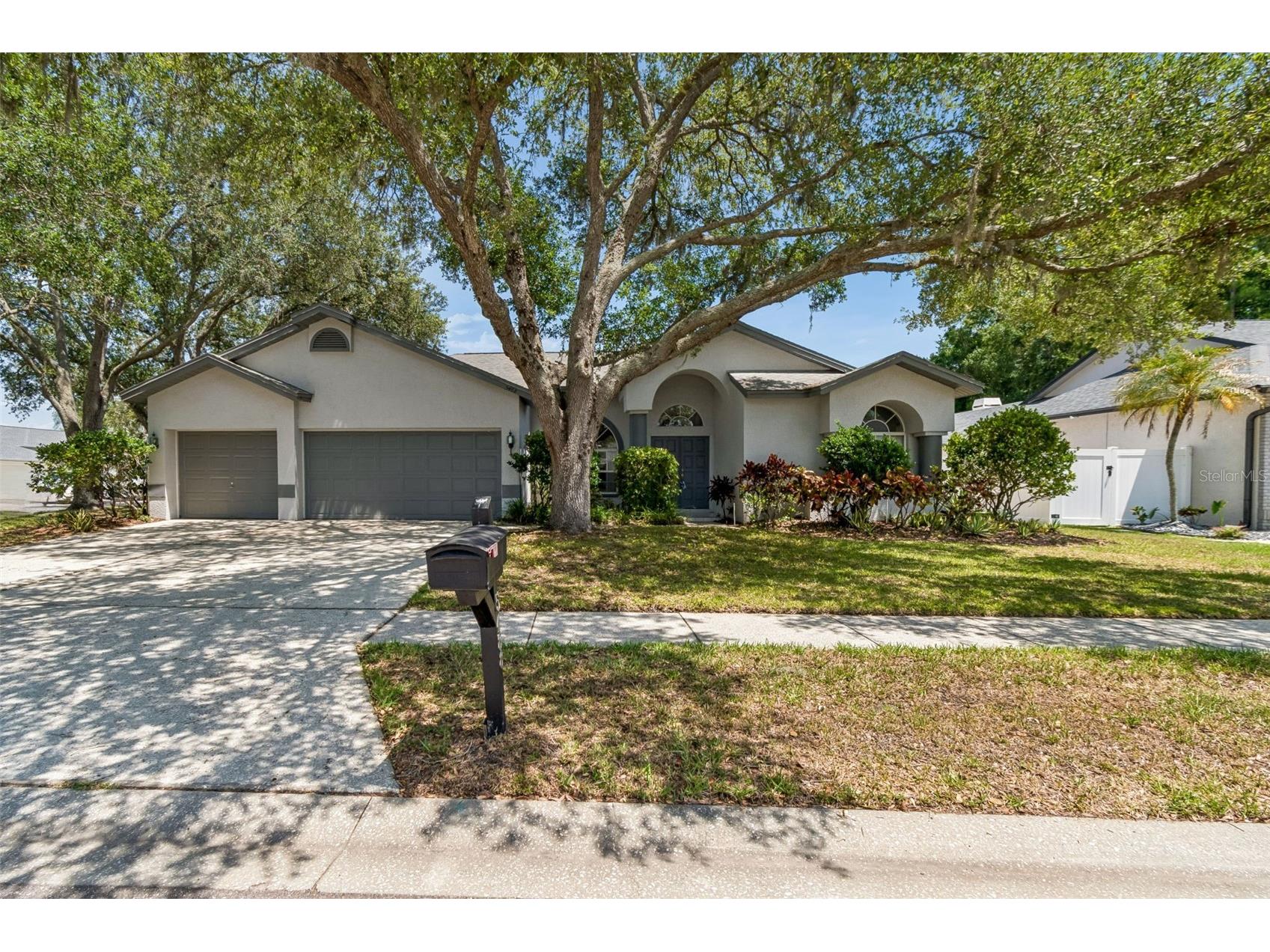 5488 Oakridge Drive Palm Harbor FL 34685 TB8505514 image1