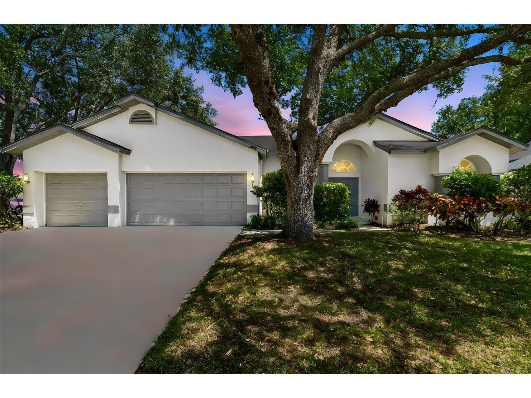 5488 Oakridge Drive Palm Harbor FL 34685 TB8505514 image2