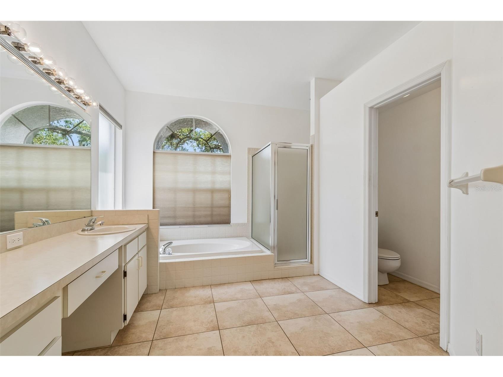 5488 Oakridge Drive Palm Harbor FL 34685 TB8505514 image25