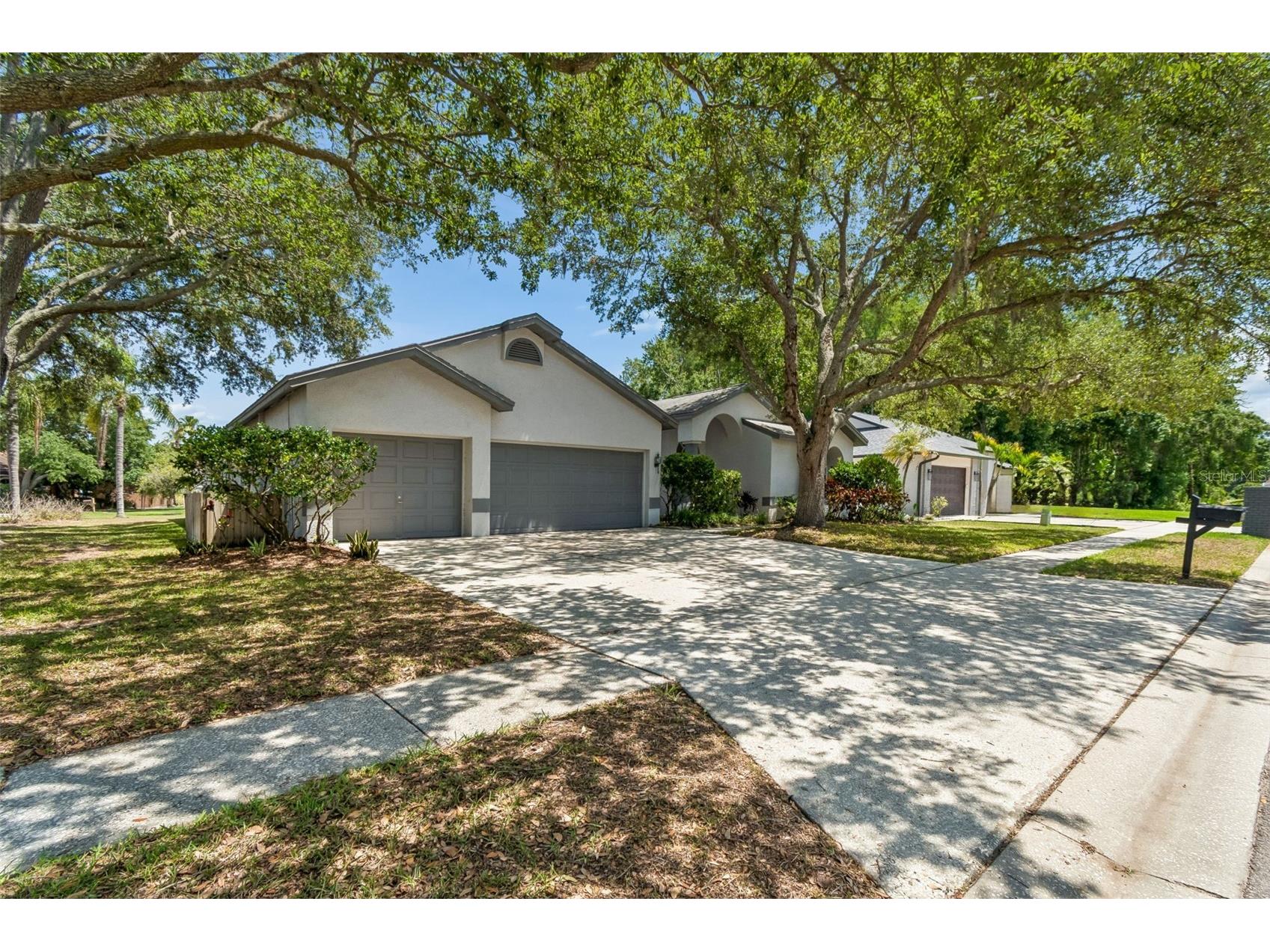 5488 Oakridge Drive Palm Harbor FL 34685 TB8505514 image3