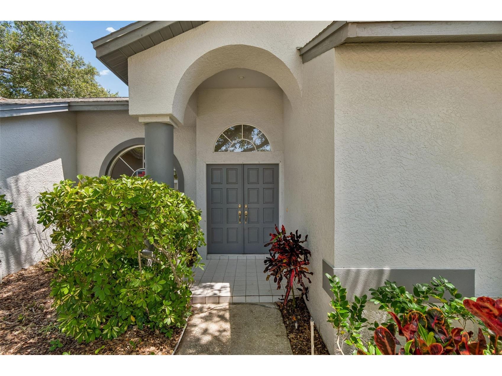 5488 Oakridge Drive Palm Harbor FL 34685 TB8505514 image4