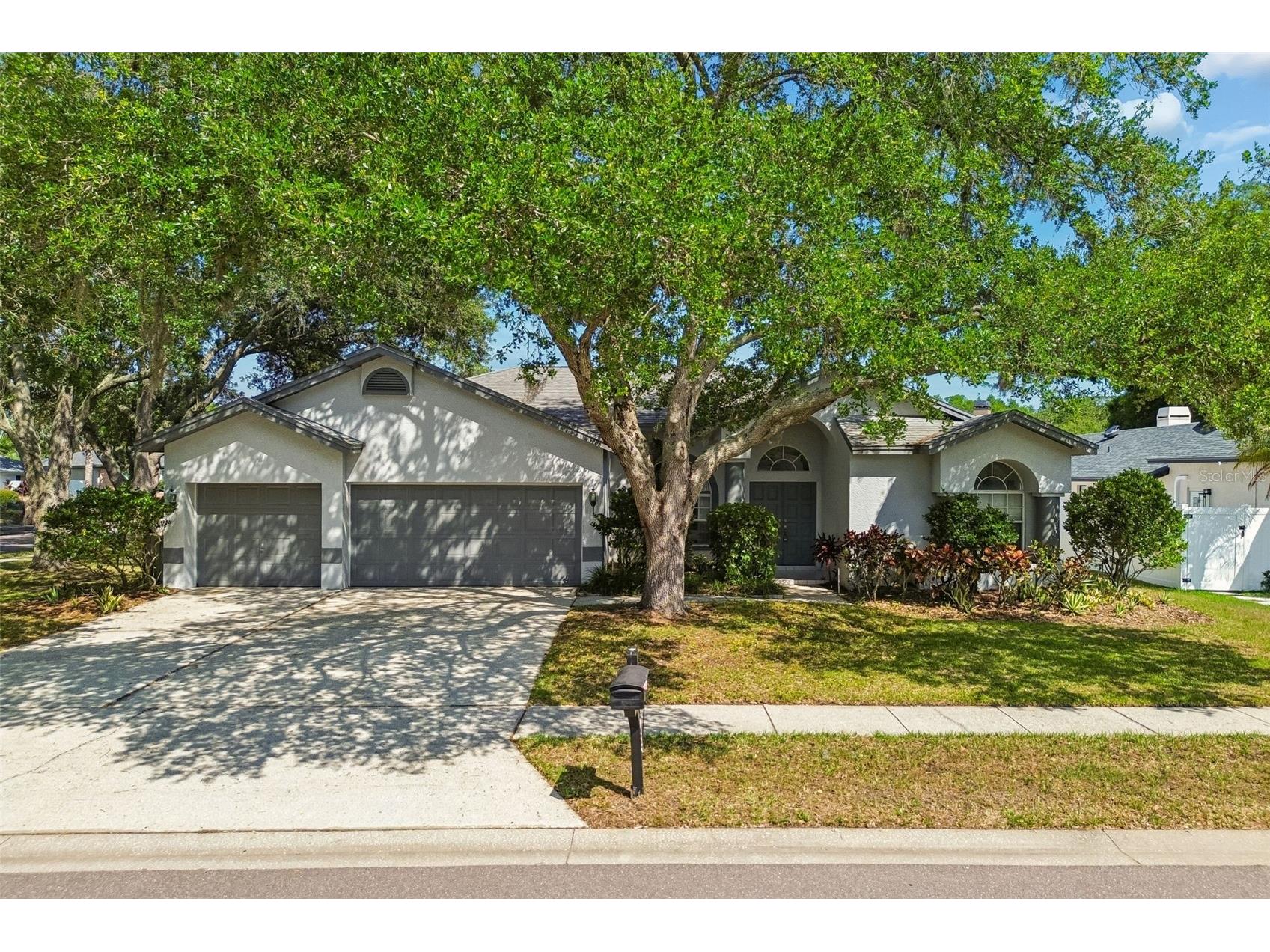 5488 Oakridge Drive Palm Harbor FL 34685 TB8505514 image44