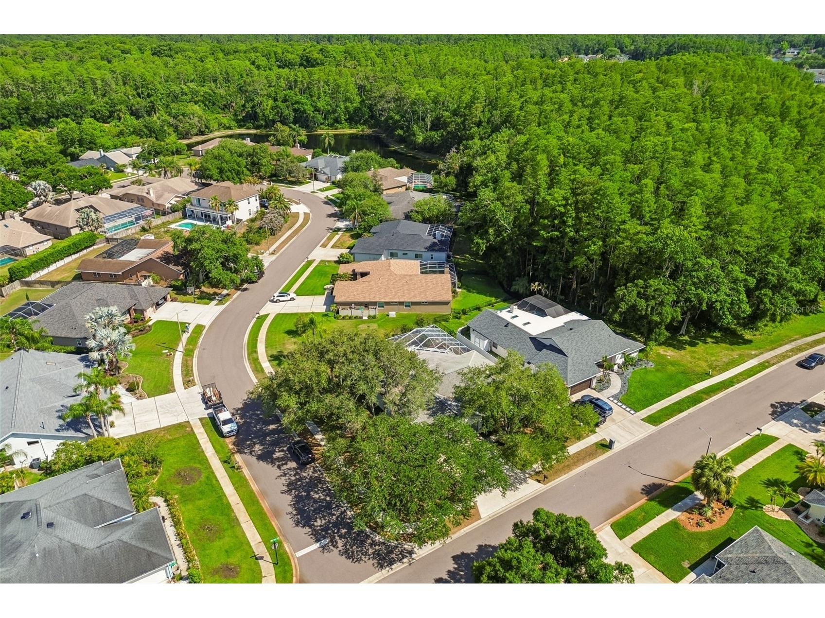5488 Oakridge Drive Palm Harbor FL 34685 TB8505514 image45