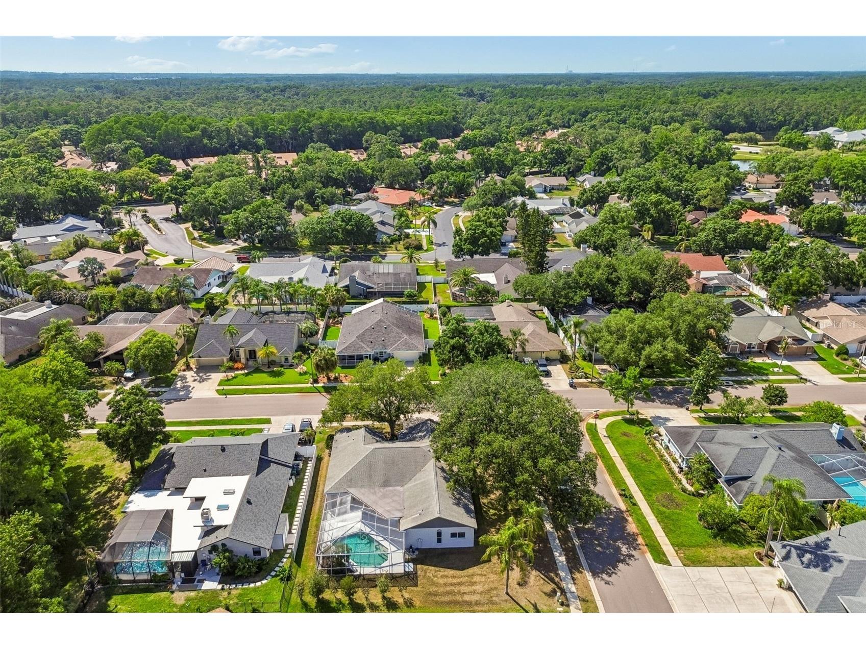 5488 Oakridge Drive Palm Harbor FL 34685 TB8505514 image46