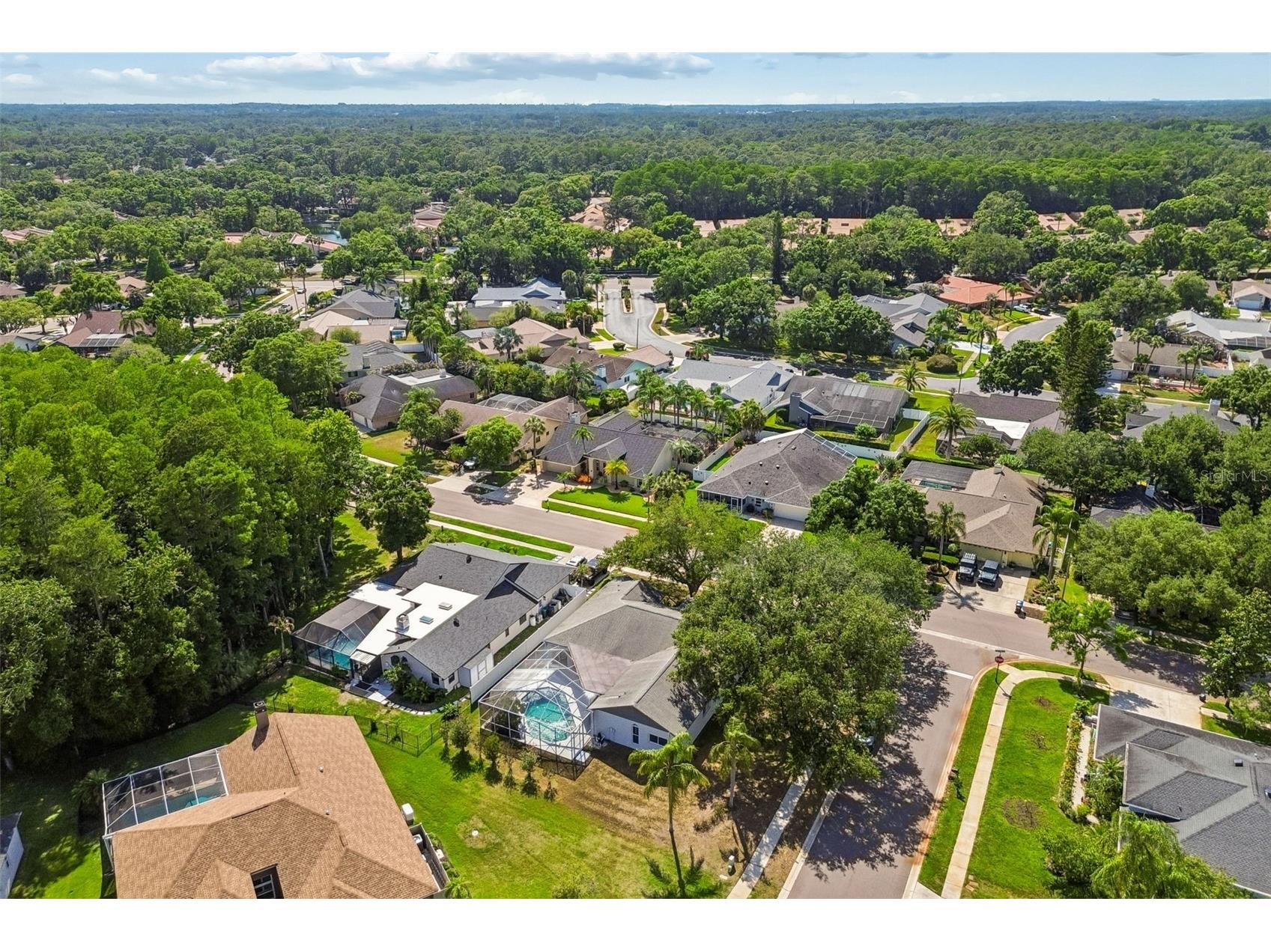 5488 Oakridge Drive Palm Harbor FL 34685 TB8505514 image47