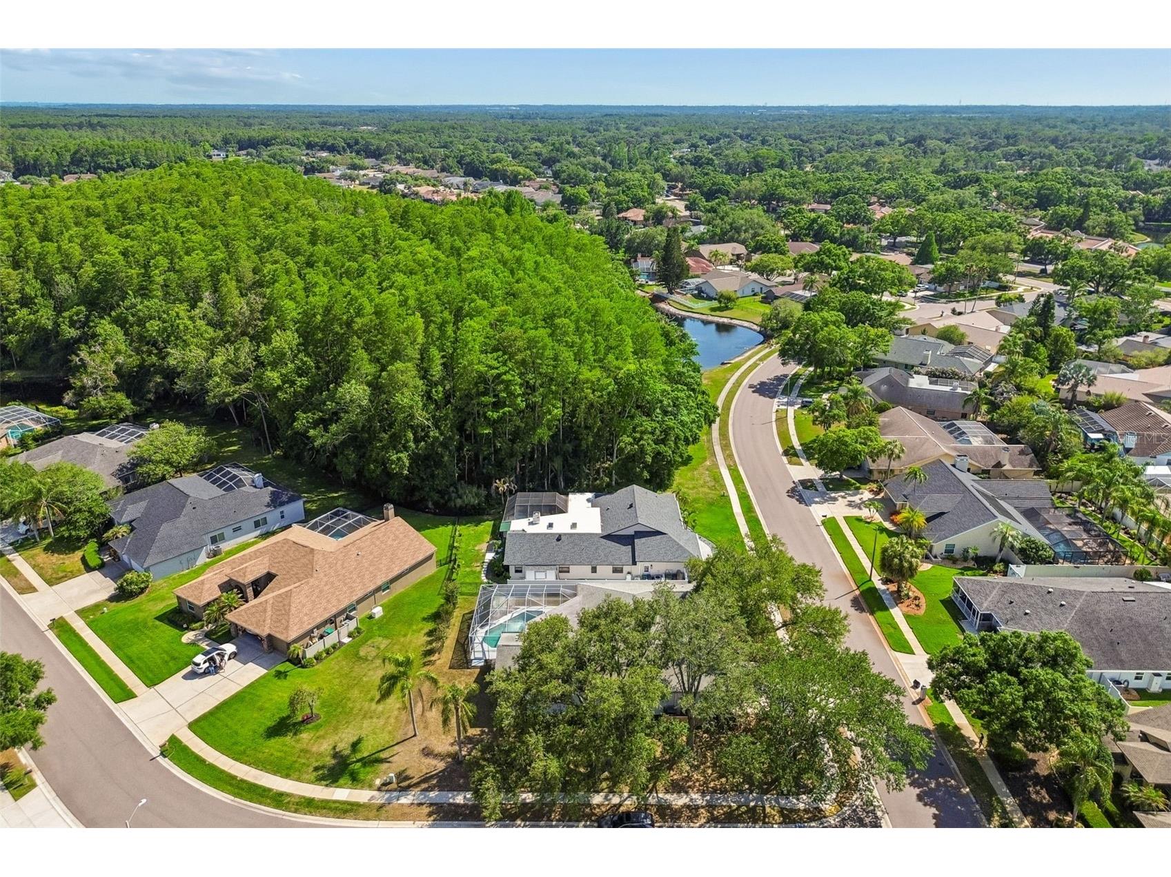 5488 Oakridge Drive Palm Harbor FL 34685 TB8505514 image48