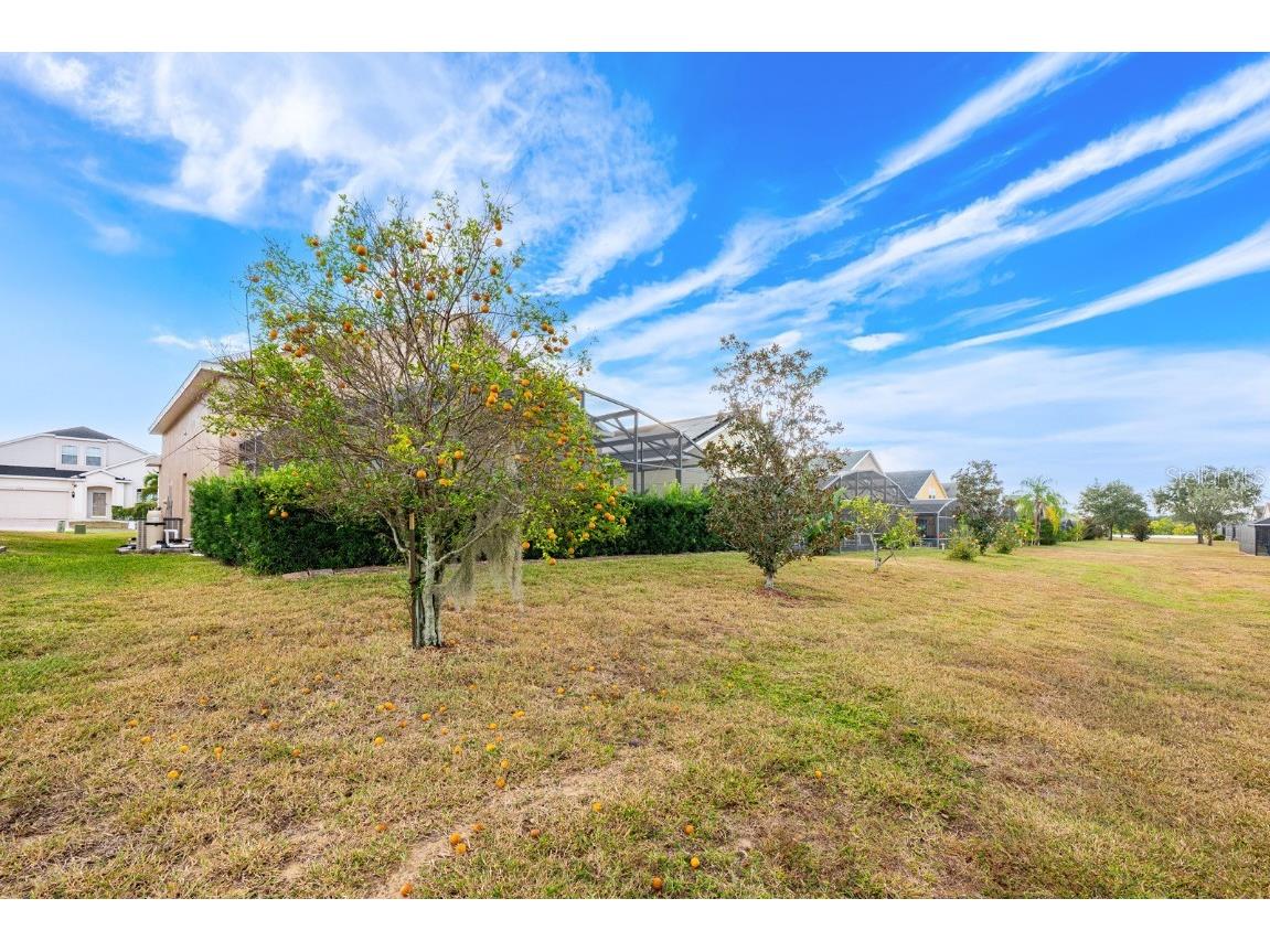 549 Cadiz Loop Davenport FL 33837 O6362540 image36