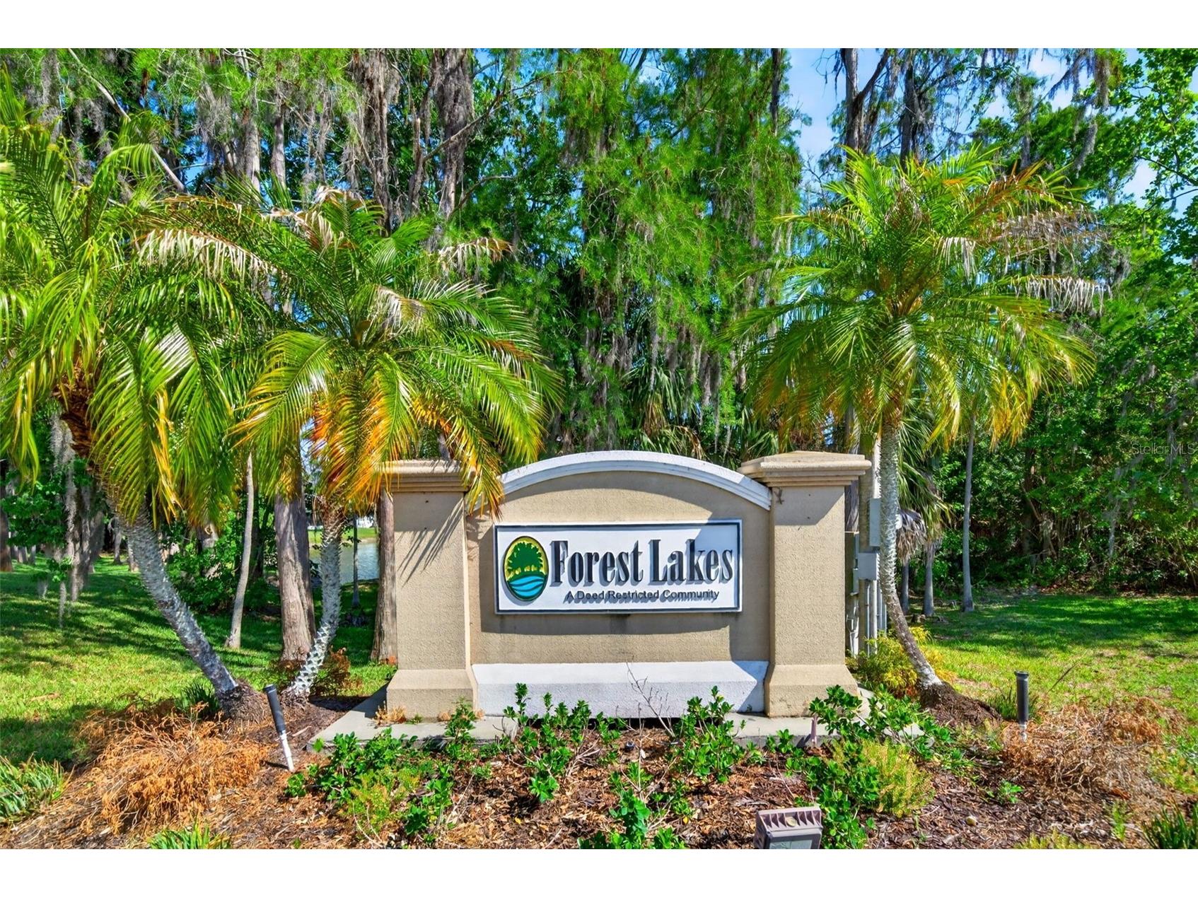 549 Longwood Circle Oldsmar FL 34677 A4692285 image3