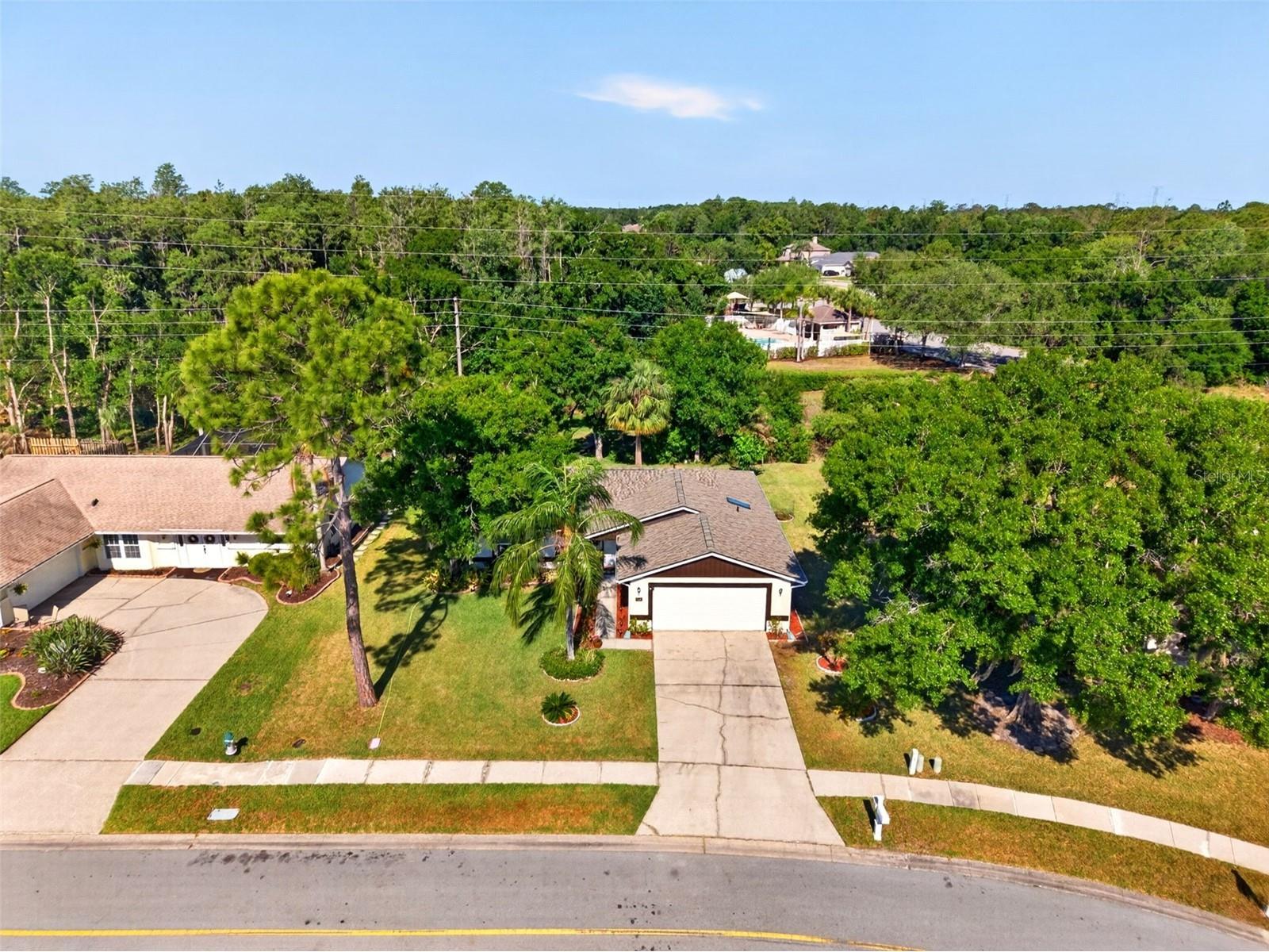 549 Longwood Circle Oldsmar FL 34677 A4692285 image4