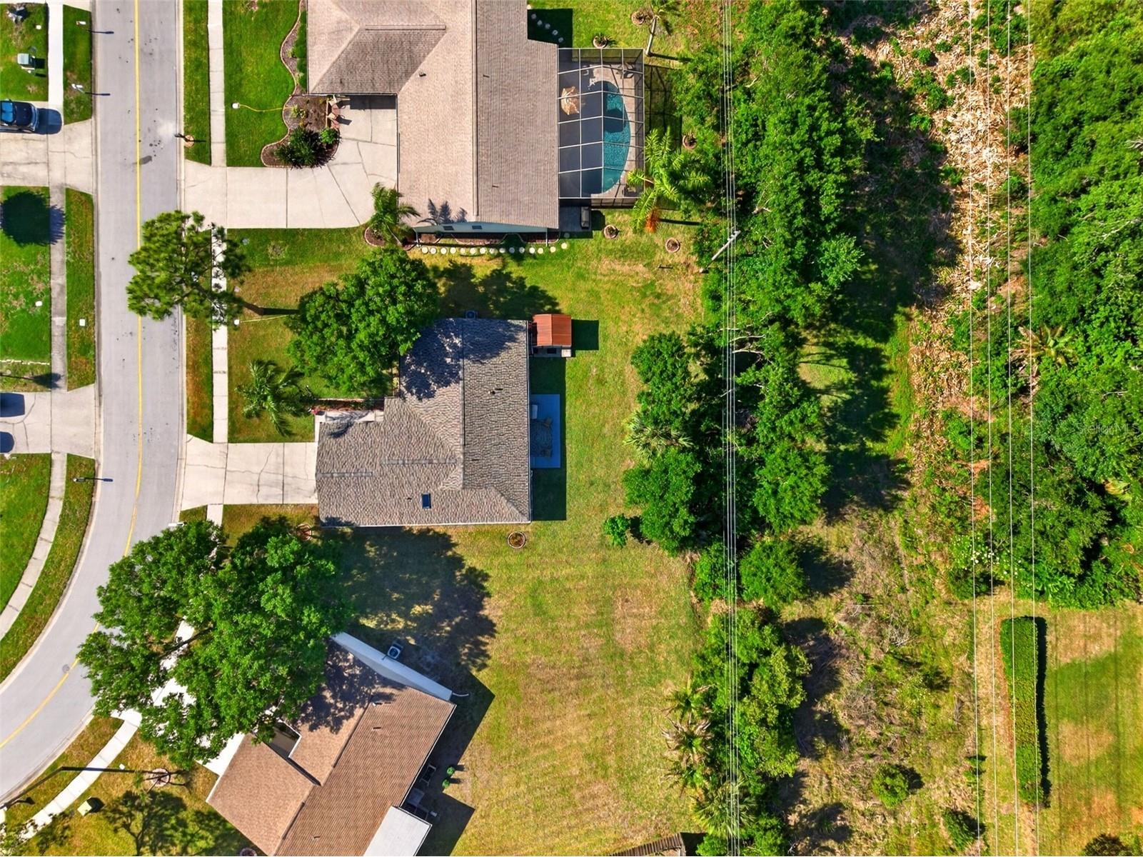 549 Longwood Circle Oldsmar FL 34677 A4692285 image51