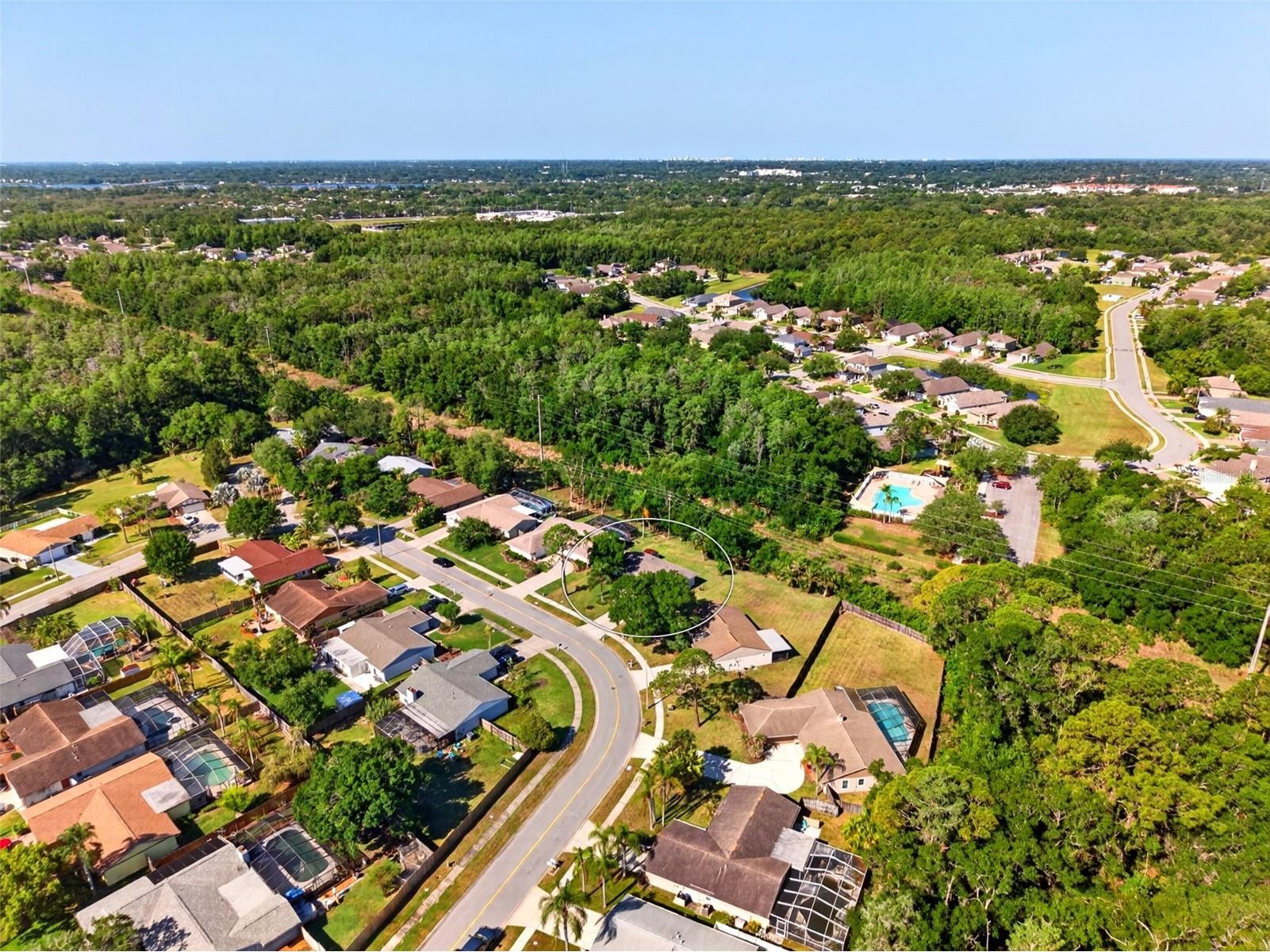549 Longwood Circle Oldsmar FL 34677 A4692285 image54