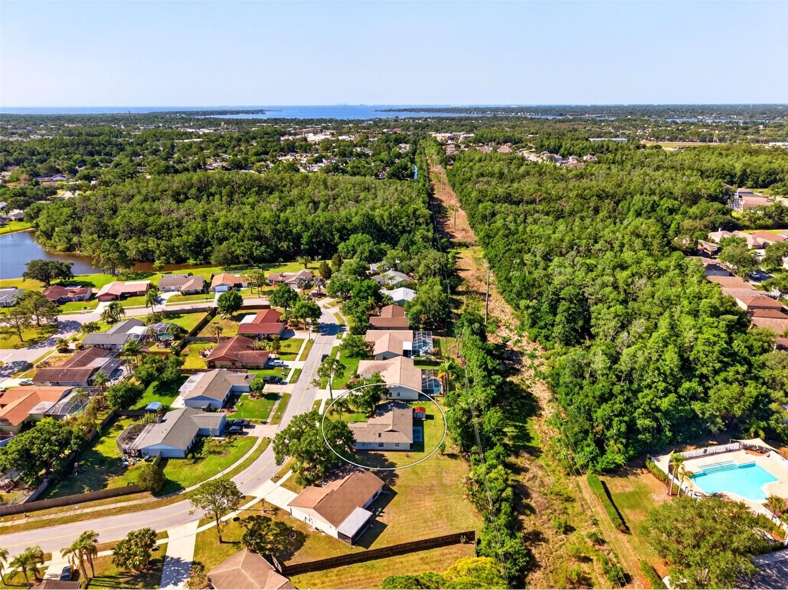 549 Longwood Circle Oldsmar FL 34677 A4692285 image55