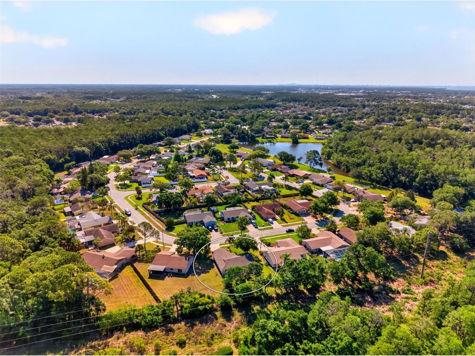 549 Longwood Circle Oldsmar FL 34677 A4692285 image56