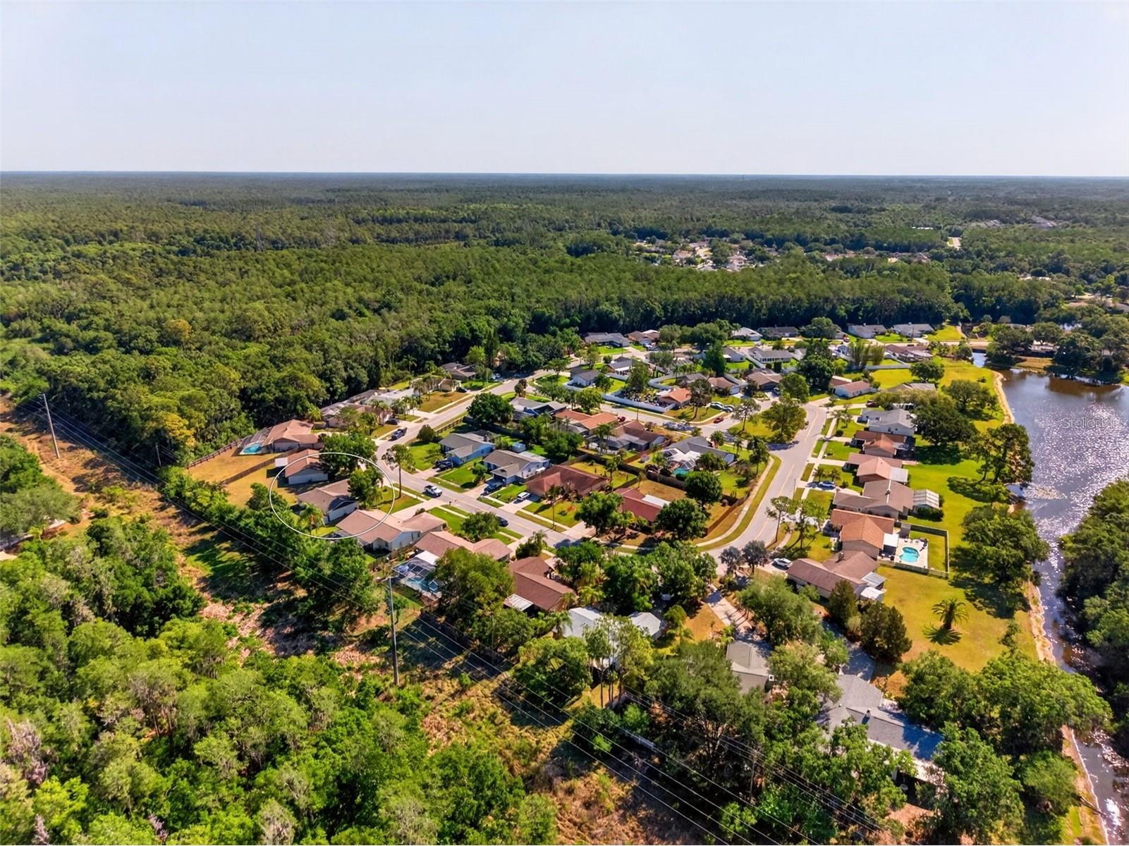 549 Longwood Circle Oldsmar FL 34677 A4692285 image57