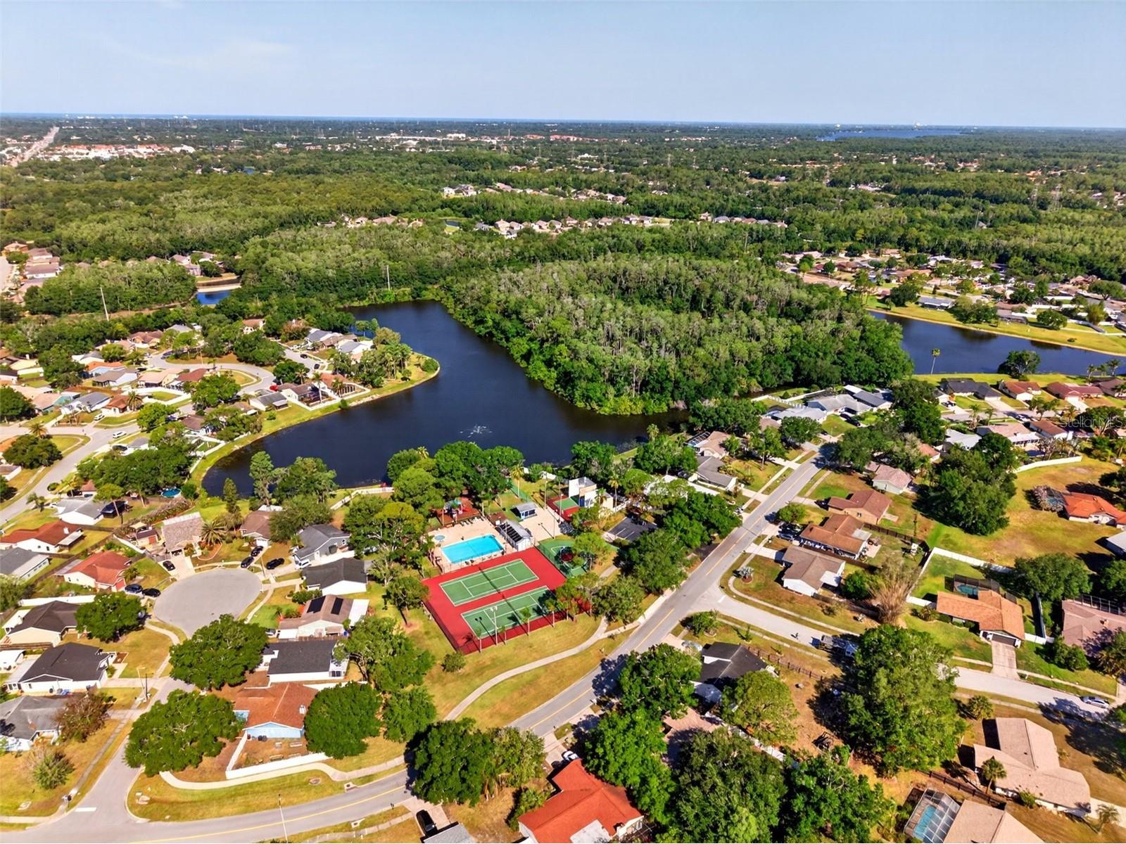 549 Longwood Circle Oldsmar FL 34677 A4692285 image58