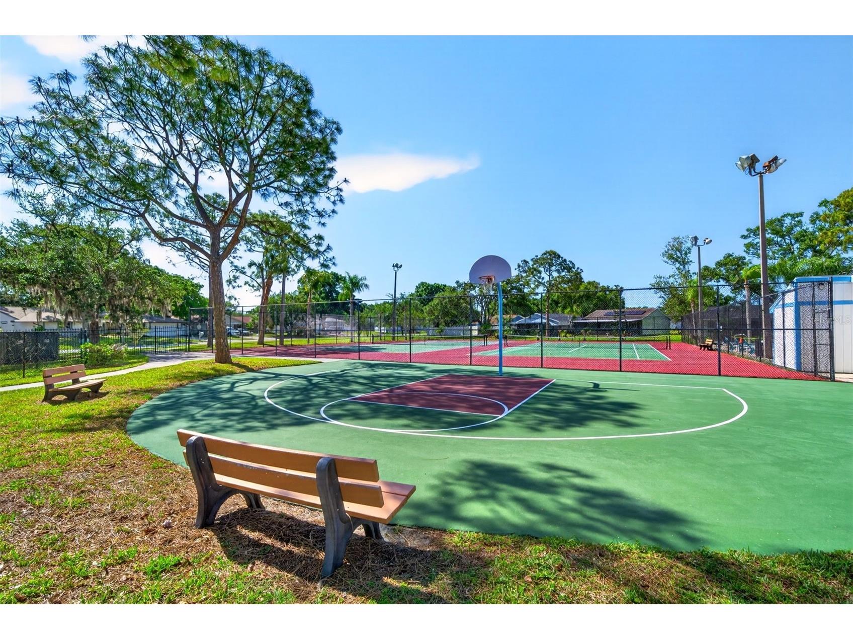 549 Longwood Circle Oldsmar FL 34677 A4692285 image64