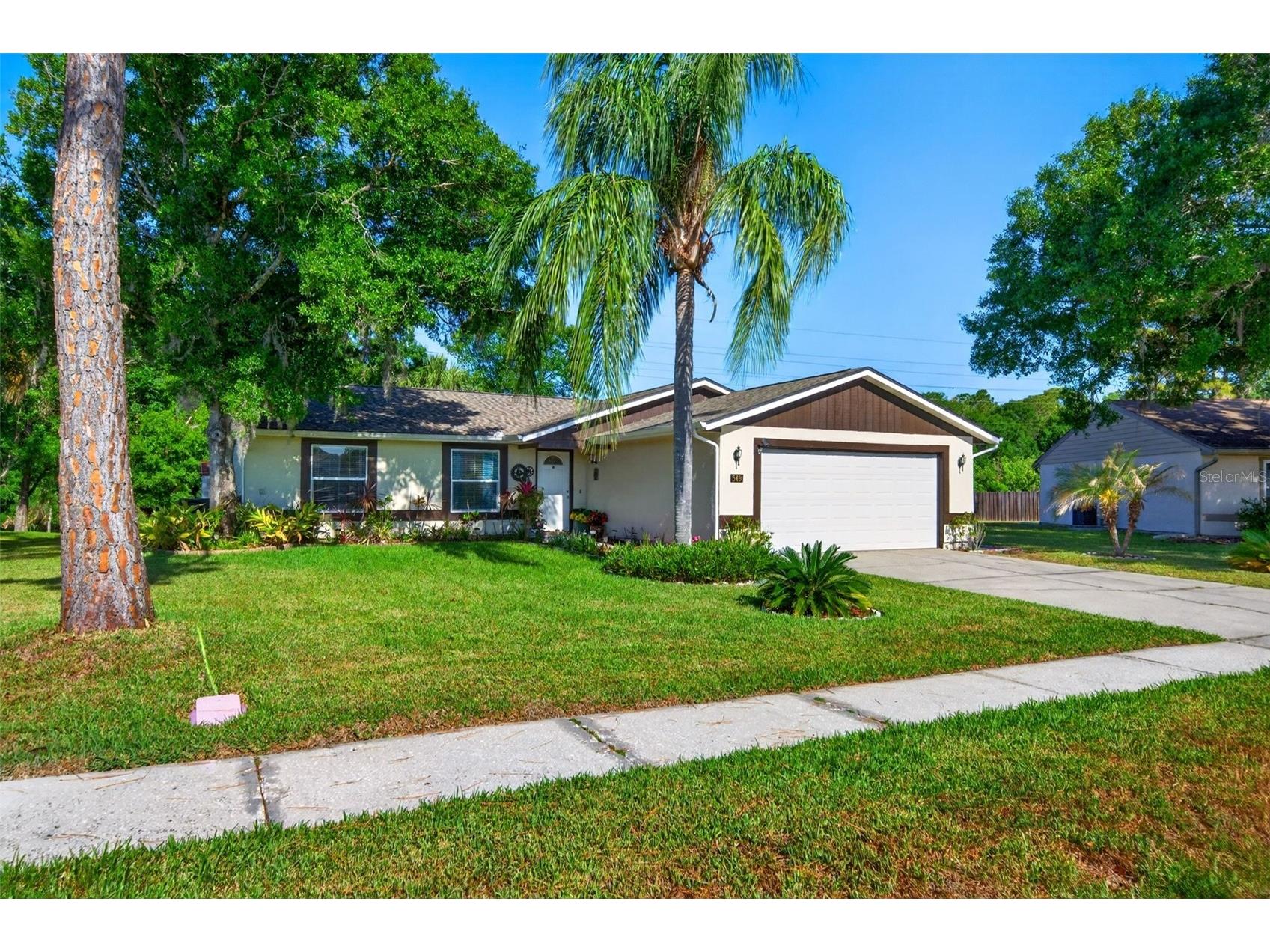 549 Longwood Circle Oldsmar FL 34677 A4692285 image7