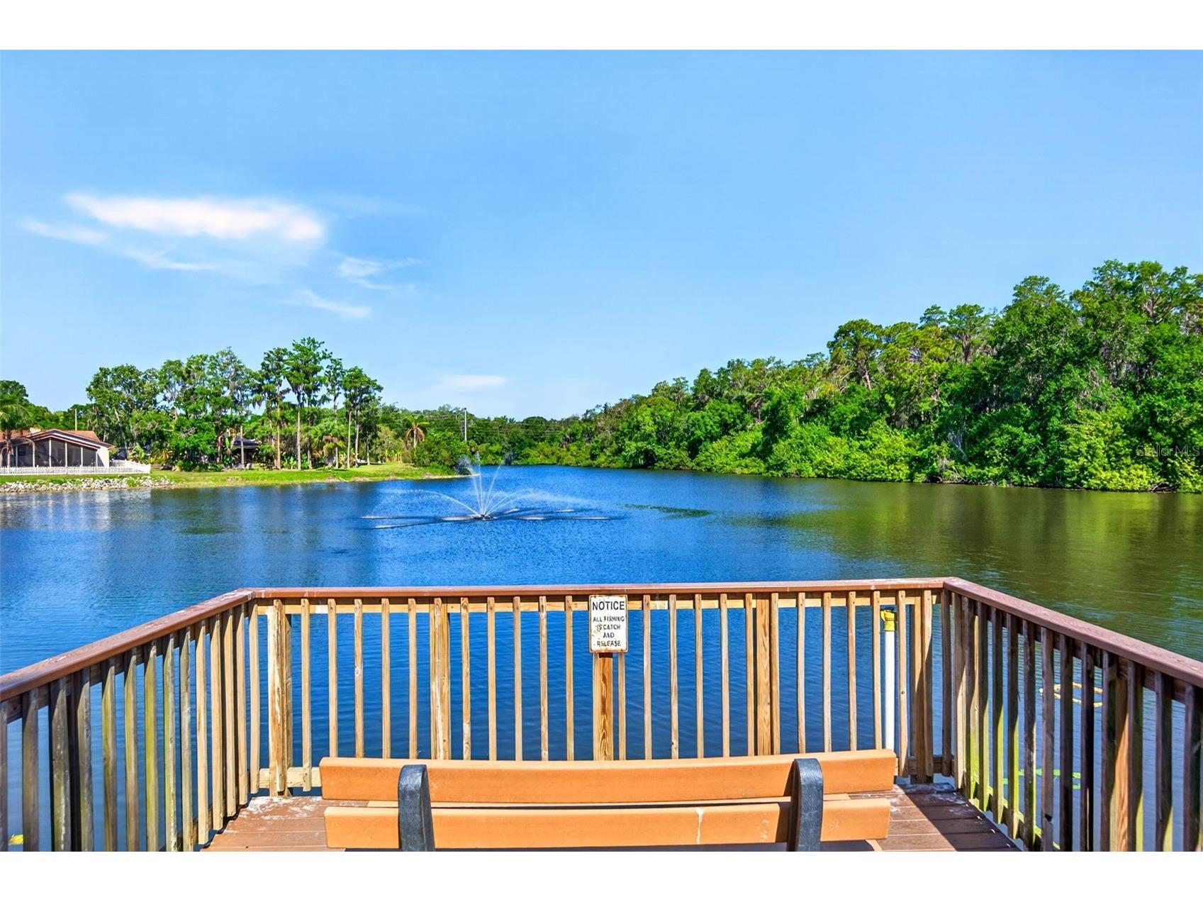 549 Longwood Circle Oldsmar FL 34677 A4692285 image77