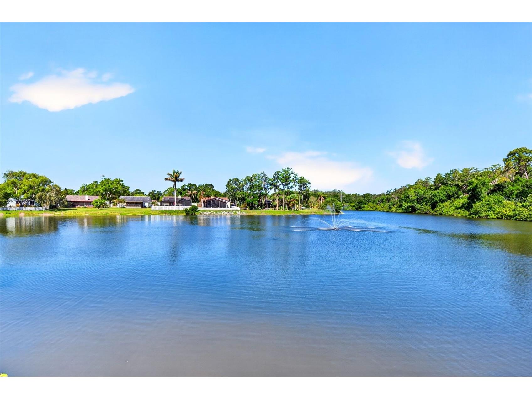 549 Longwood Circle Oldsmar FL 34677 A4692285 image78