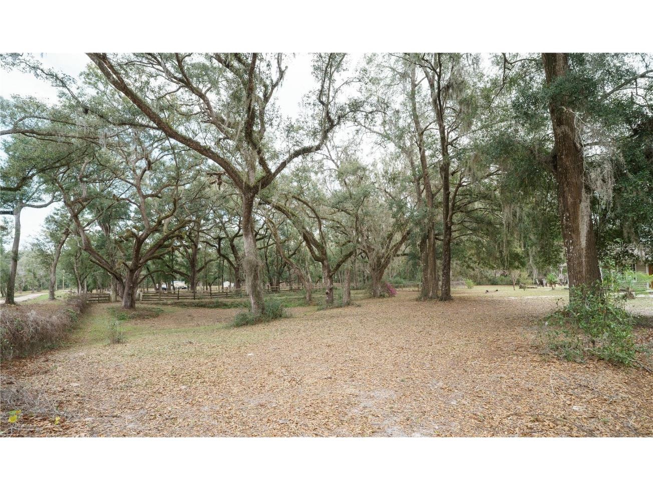 5490 SE Highway 42 Summerfield FL 34491 OM695781 image55