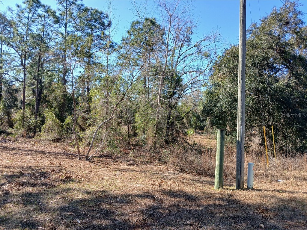 5490 W Mannis Court #7 Homosassa FL 34446 OM692956 image1