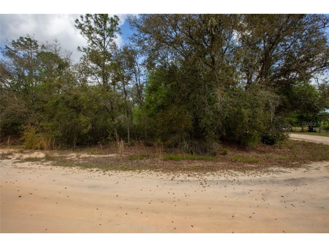 5491 Jefferson Street Keystone Heights FL 32656 GC529671 image12