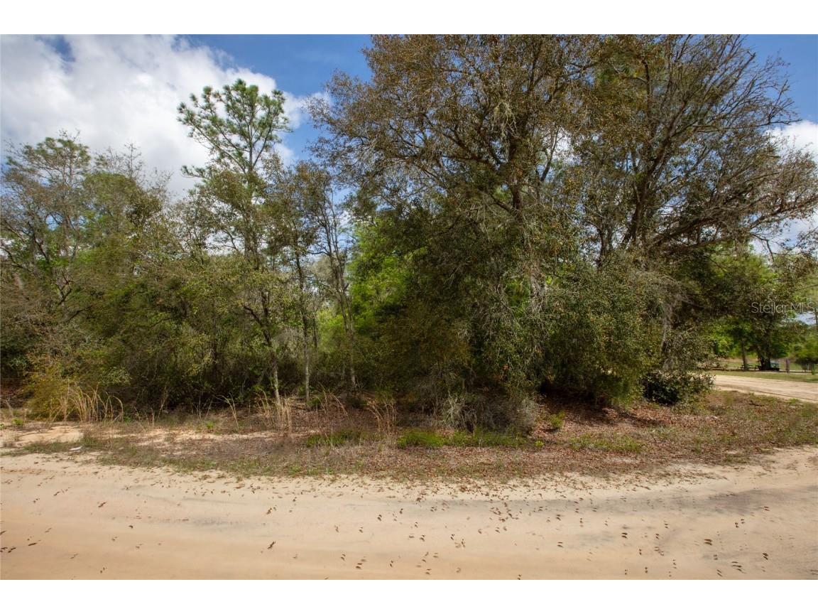 5491 Jefferson Street Keystone Heights FL 32656 GC529671 image13