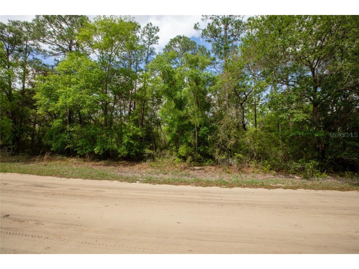 5491 Jefferson Street Keystone Heights FL 32656 GC529671 image9