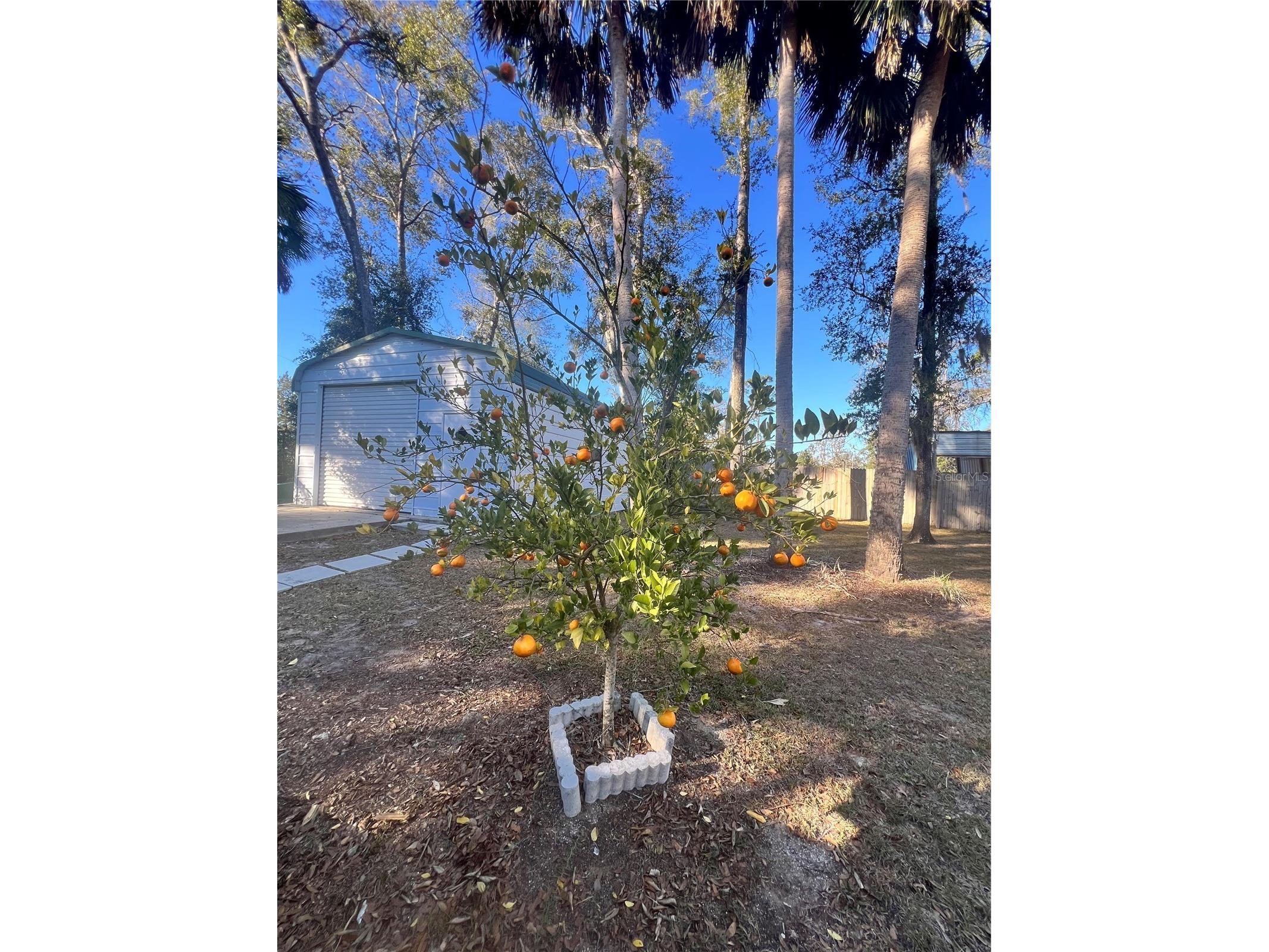 5492 SW 358 Highway Steinhatchee FL 32359 W7879583 image28