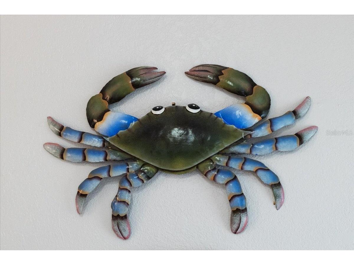 5492 SW 358 Highway Steinhatchee FL 32359 W7879583 image41