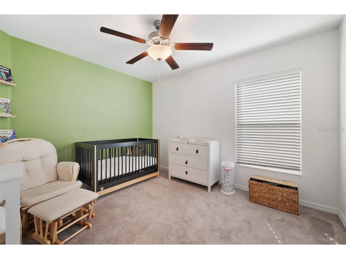 5493 Blue Azure Drive Wimauma FL 33598 TB8441681 image30