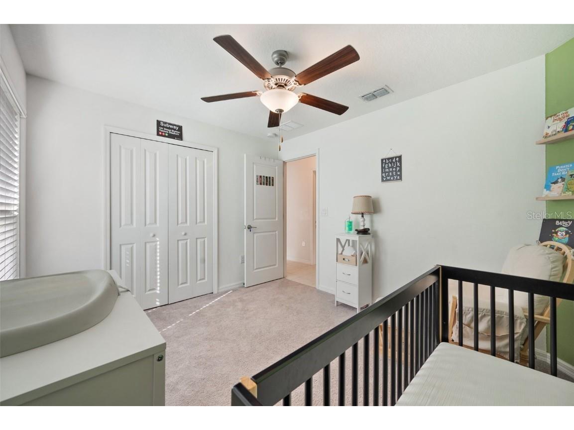 5493 Blue Azure Drive Wimauma FL 33598 TB8441681 image32