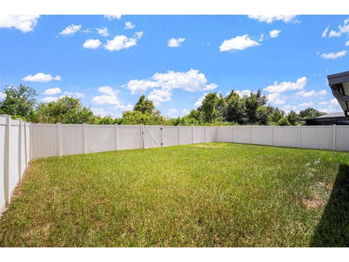 5494 Blue Azure Drive Wimauma FL 33598 TB8429693 image45