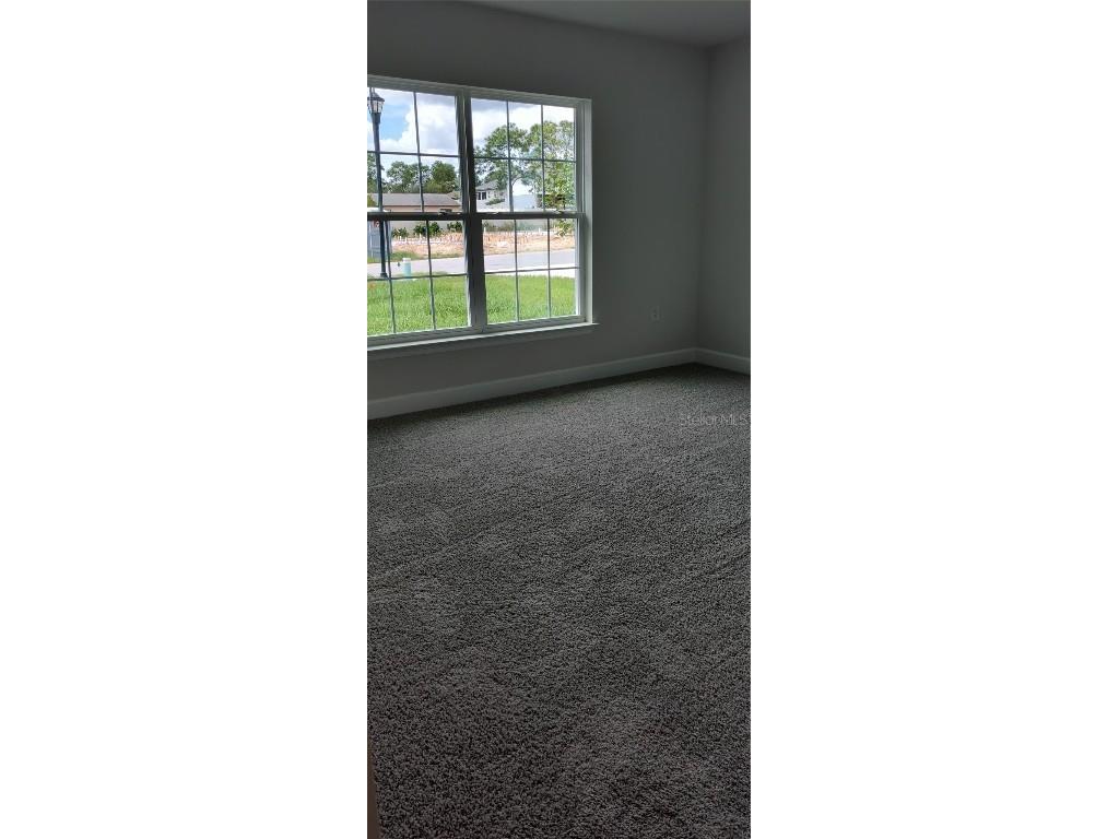 5494 Ocean Breeze Drive Spring Hill FL 34609 OM704254 image21