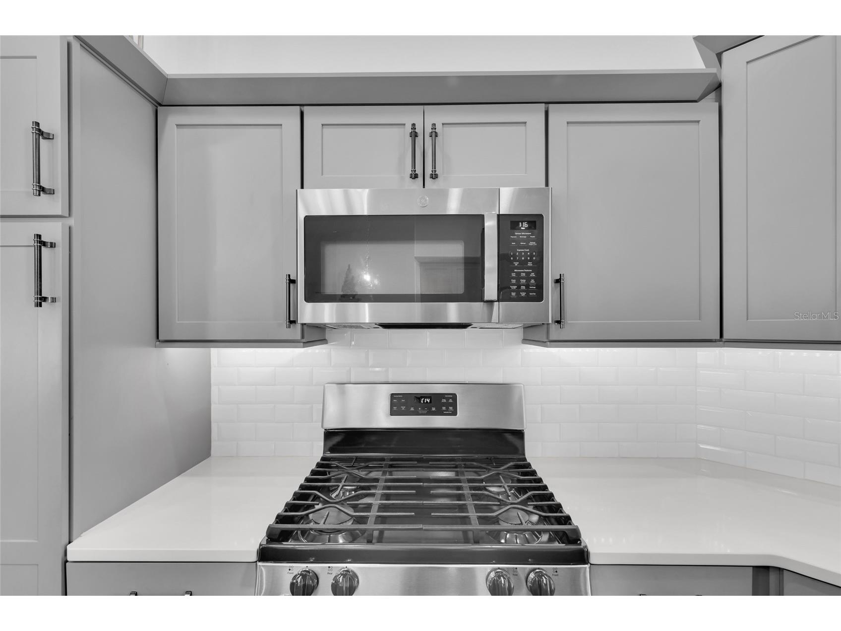 5495 Hawkins Drive The Villages FL 32163 G5110525 image15