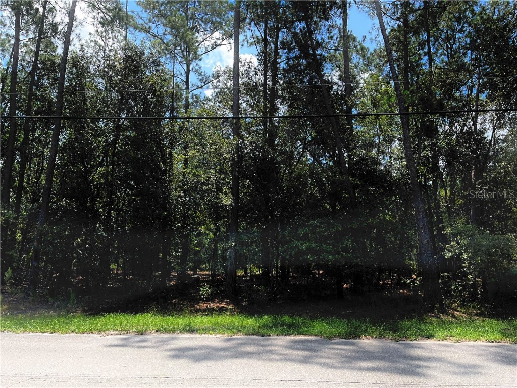 5497 Laredo Street Keystone Heights FL 32656 GC515424 image1