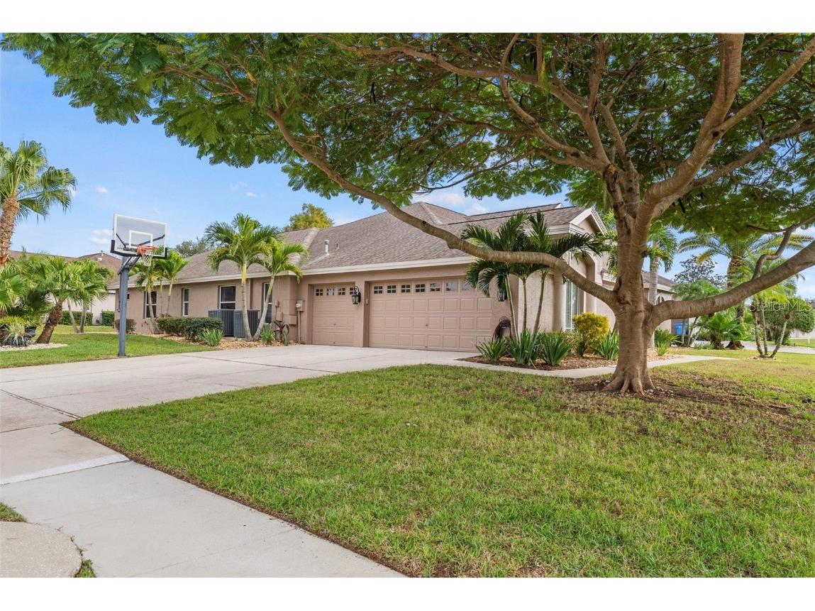 5497 Millbrook Way Palm Harbor FL 34685 - LAKE TARPON TB8454090 image43