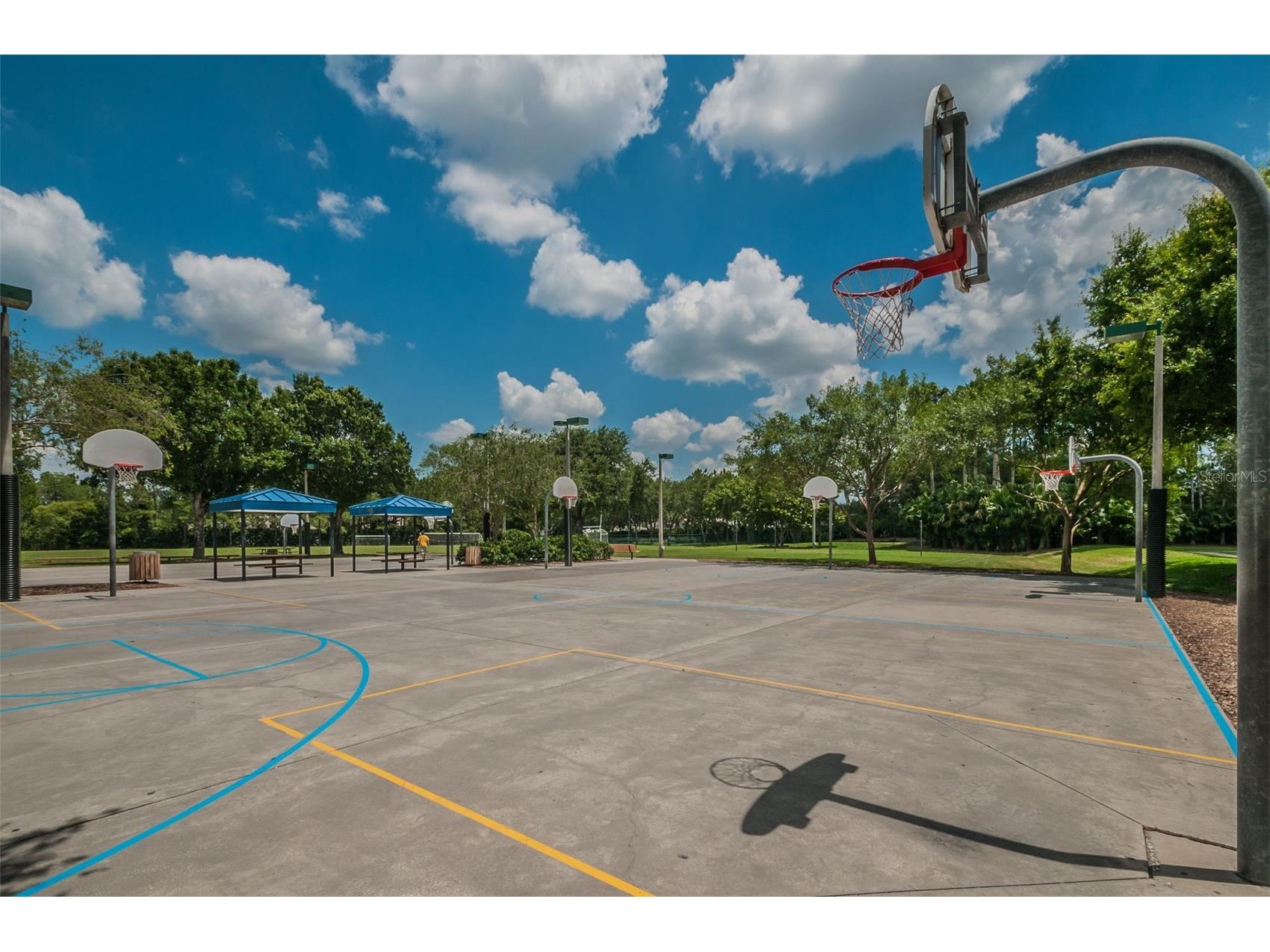 5497 Millbrook Way Palm Harbor FL 34685 - LAKE TARPON TB8454090 image63